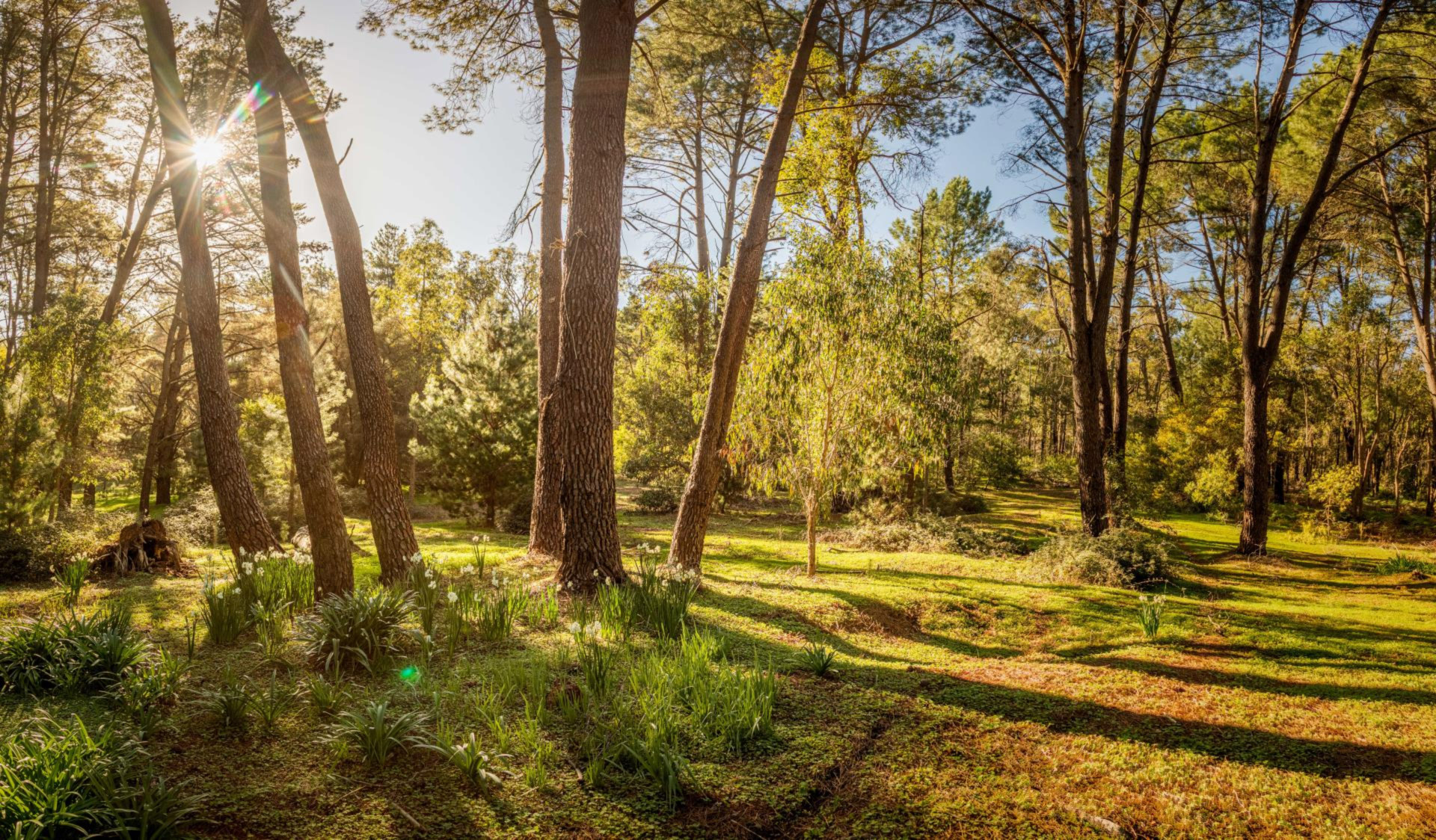 Serpentine Retreat Centre