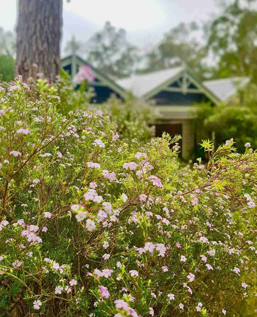 Escape to Serpentine